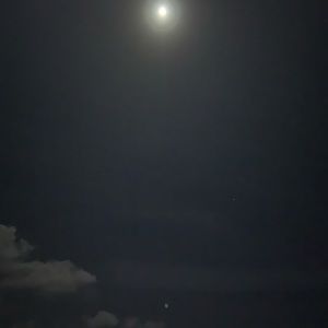 Meet your Posher, Zoriely